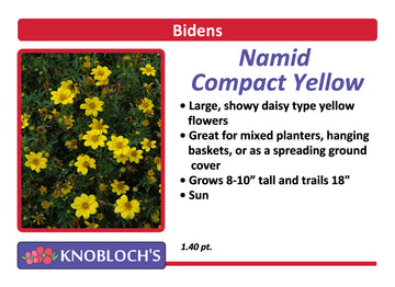 Bidens - Namid Compact Yellow