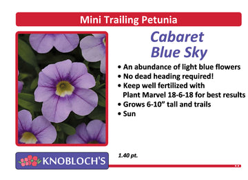 Petunia - Mini Trailing Cabaret Blue Sky