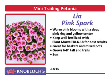 Petunia - Mini Trailing Lia Pink Spark