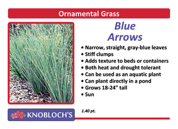 Grass - Blue Arrows