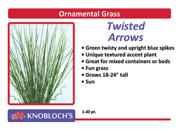 Grass - Twisted Arrows