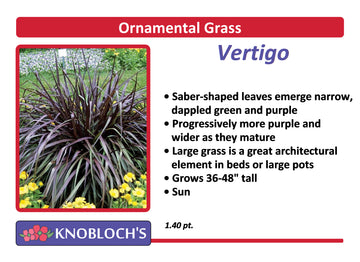 Grass - Vertigo
