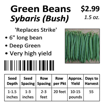 Beans - Green Bean Syrabis (seeds)