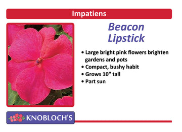 Impatiens - Beacon Lipstick