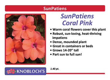 Impatiens - SunPatiens Coral Pink