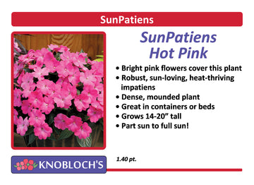 Impatiens - SunPatiens Hot Pink