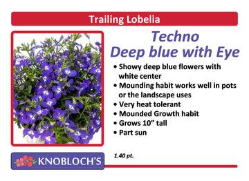Lobelia - Techno Deep Blue with Eye