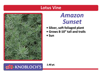 Lotus Vine - Amazon Sunset