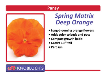 Pansy - Spring Matrix Deep Orange