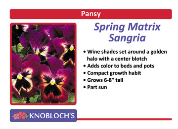 Pansy - Spring Matrix Sangria