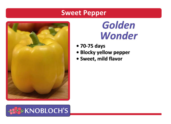 Pepper - Gold Wonder