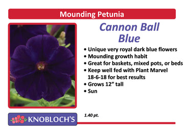 Petunia - Mounding Cannon Ball Blue