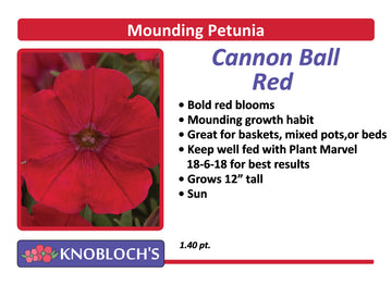 Petunia - Mounding Cannon Ball Red