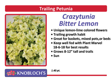 Petunia - Trailing Crazytunia Bitter Lemon