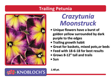 Petunia - Trailing Crazytunia Moonstruck
