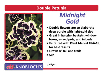 Petunia - Trailing Double Midnight Gold