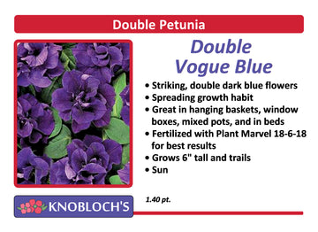 Petunia - Trailing Double Vogue Blue