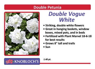 Petunia - Trailing Double Vogue White