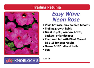 Petunia - Trailing Easy Wave Neon Rose