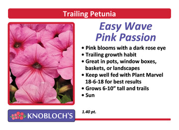 Petunia - Trailing Easy Wave Pink Passion