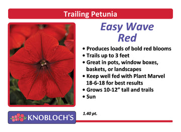 Petunia - Trailing Easy Wave Red