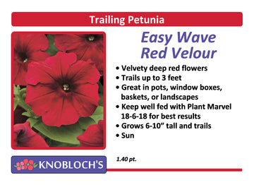 Petunia - Trailing Easy Wave Red Velour