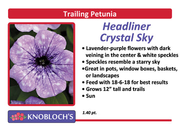 Petunia - Trailing Headliner Crystal Sky