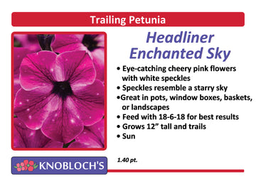 Petunia - Trailing Headliner Enchanted Sky