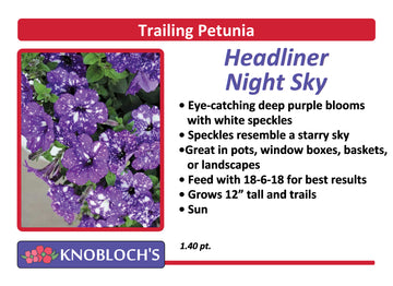 Petunia - Trailing Headliner Night Sky