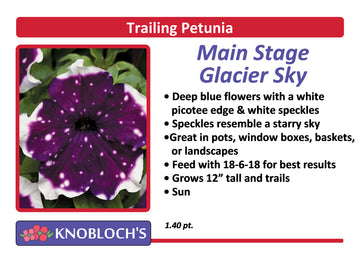 Petunia - Trailing Main Stage Glacier Sky