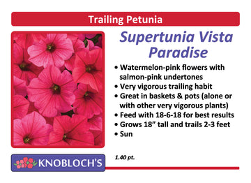 Petunia - Trailing Supertunia Vista Paradise