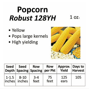 Corn - Popcorn (seeds)