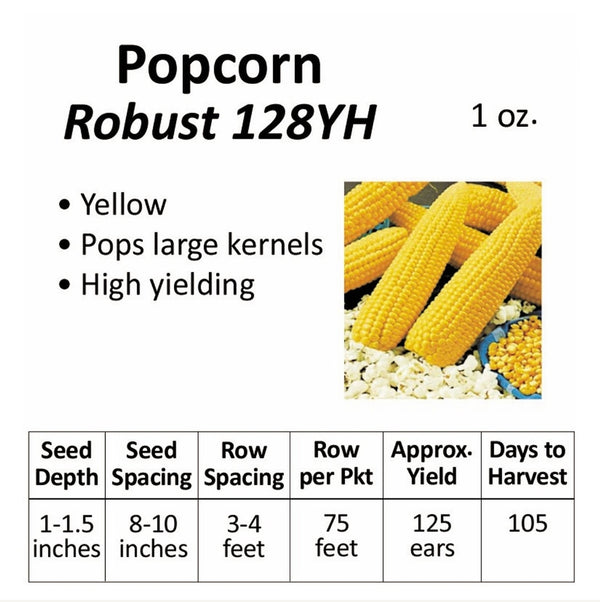Corn - Popcorn (seeds)