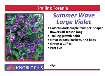 Torenia - Summer Wave Large Violet
