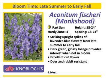 Aconitum - Fischeri (Monkshood)