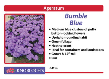 Ageratum - Bumble Blue