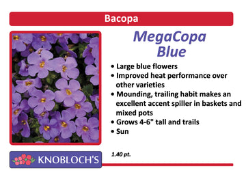 Bacopa - MegaCopa Blue