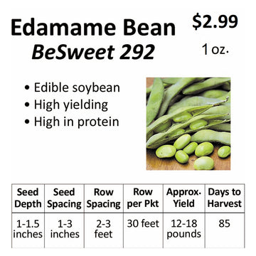 Beans - Edamame BeSweet 292 (seeds)