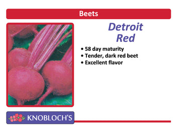 Beets - Detroit Red