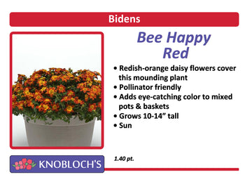Bidens - Bee Happy Red
