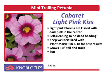 Petunia - Mini Trailing Cabaret Light Pink Kiss