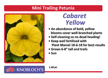 Petunia - Mini Trailing Cabaret Yellow
