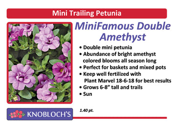 Petunia - Mini Trailing Mini Famous Neo Dbl. Amethyst