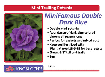 Petunia - Mini Trailing Mini Famous Neo Dbl. Blue