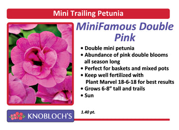 Petunia - Mini Trailing Mini Famous Neo Dbl. Pink