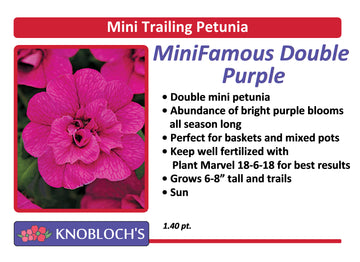 Petunia - Mini Trailing Mini Famous Neo Dbl. Purple