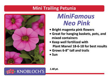 Petunia - Mini Trailing Mini Famous Neo Pink