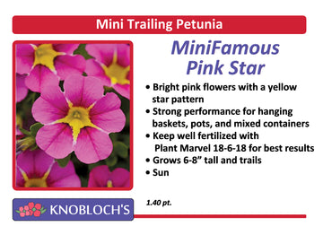 Petunia - Mini Trailing Mini Famous Uno Pink Star