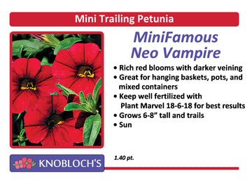Petunia - Mini Trailing Mini Famous Vampire