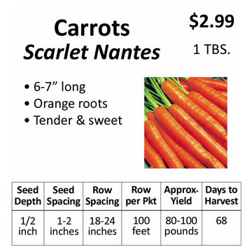 Carrots - Scarlet Nantes (seeds)